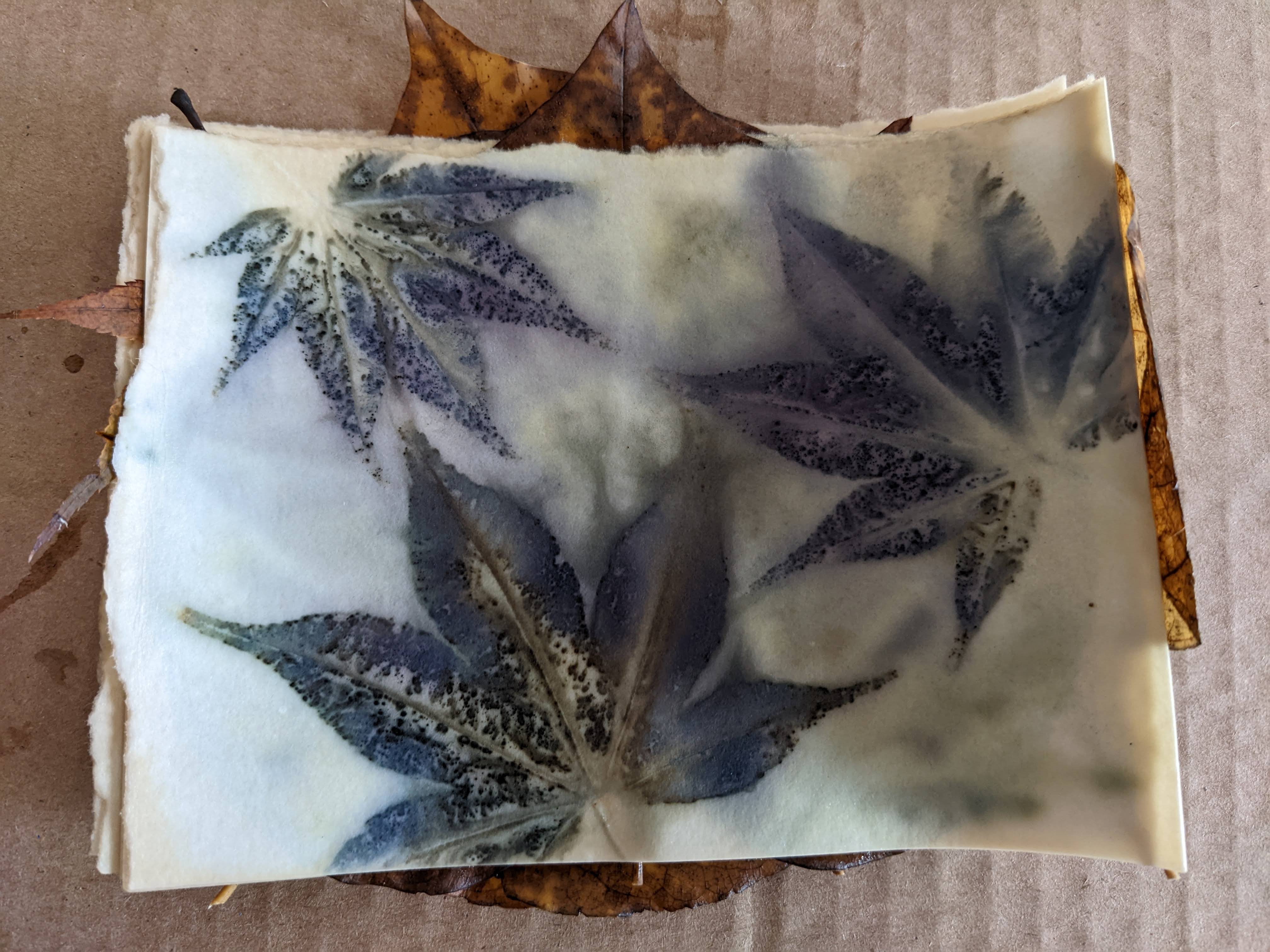 Maple leaves print blue!