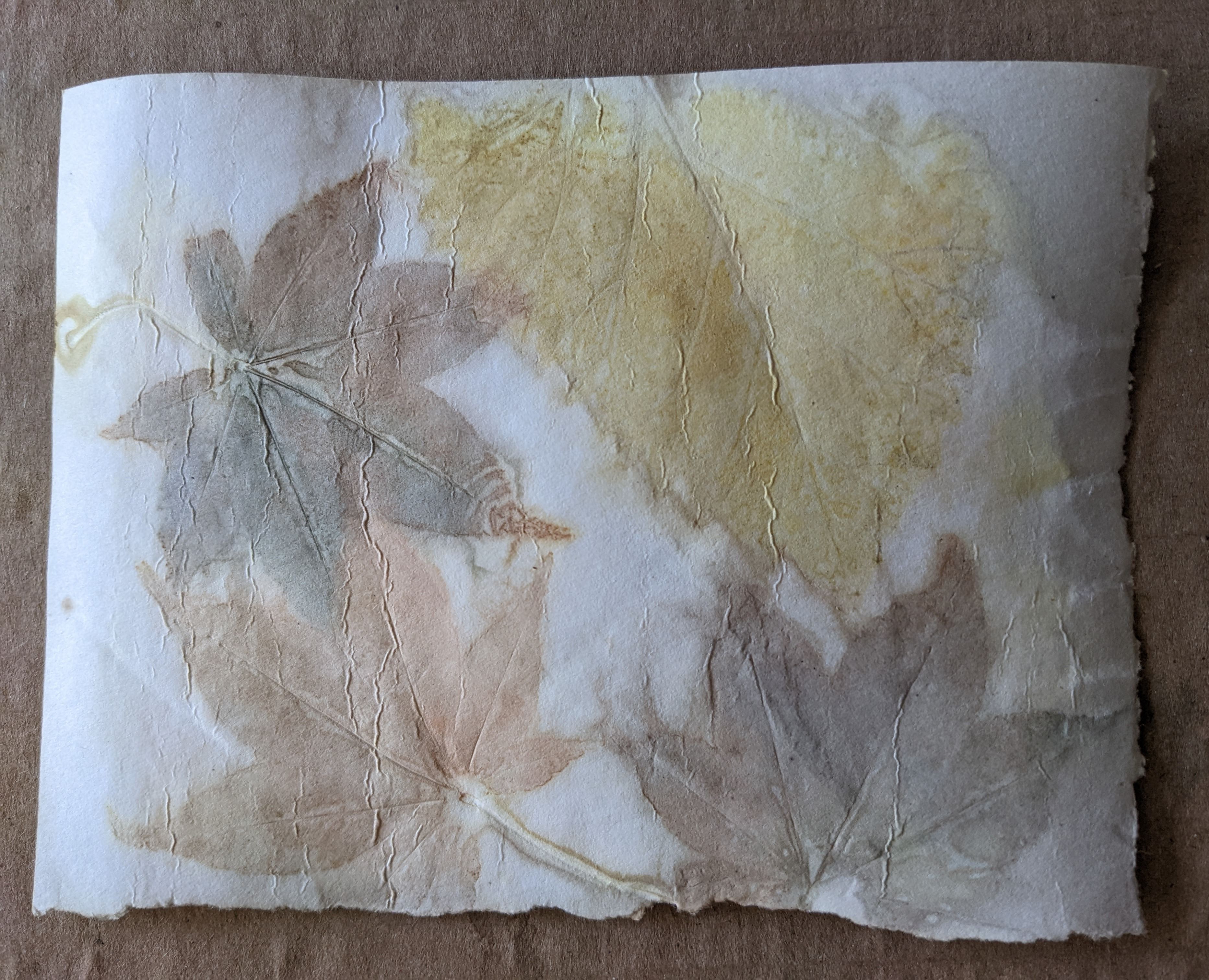 Ecoprint of various leaves in reds, browns, and yellows
